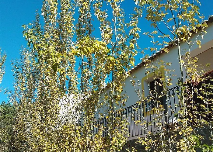 カントリーハウス Casas Do Palheiro Velho