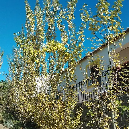 컨트리하우스 Casas Do Palheiro Velho