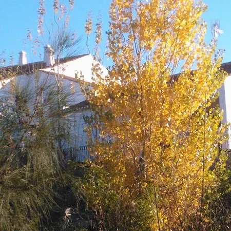 Casas Do Palheiro Velho 컨트리하우스